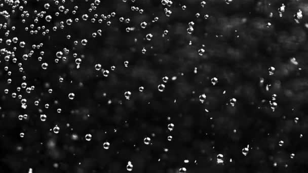 透明的圆形气泡,在黑色背景下在水下流动,无缝隙环路.库存录像。小气泡的闭合动作缓慢. — 图库视频影像