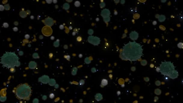 Virusausbruch unter dem Mikroskop. Animation. Abstrakter biologischer Hintergrund mit Coronavirus oder Covid 19 Zellen im Blutfluss auf schwarzem Hintergrund, nahtlose Schleife. — Stockvideo