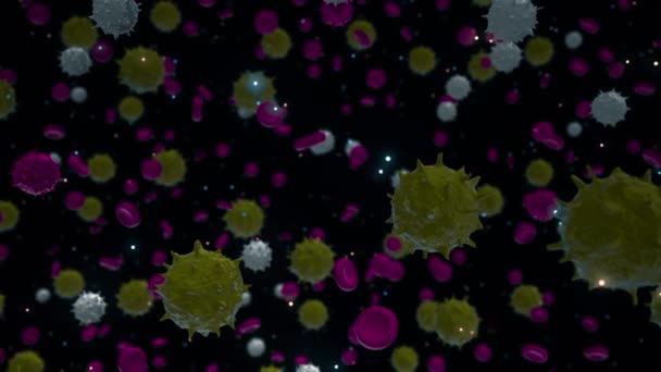 3D-viruscellen in menselijk organisme. Animatie. Abstracte bacteriën en rode bloedcellen bewegen op zwarte achtergrond, pathogeen respiratoire influenza, naadloze lus. — Stockvideo