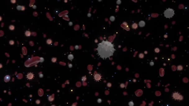 Résumé de l'expérience médicale avec les cellules du virus de la grippe COVID 19 au microscope sanguin. Animation. Coronavirus Covid-19 épidémie de grippe background.Pandemic médical concept de risque pour la santé avec — Video