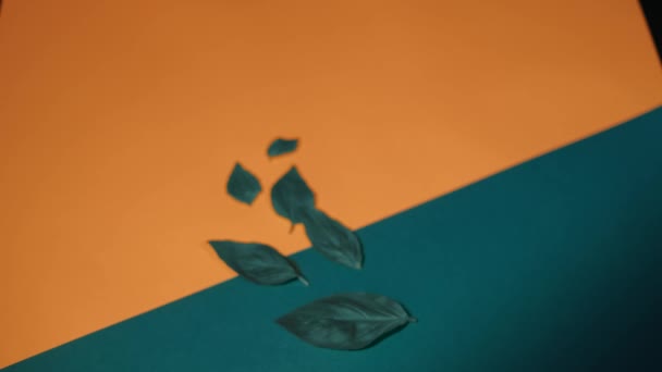 Niebieski koktajl alkoholowy na barwnej powierzchni z zielonymi liśćmi. Materiał filmowy. Zbliżenie wełnianej dłoni nakładającej szklankę z niezwykłym napojem na pomarańczowy i niebieski materiał ze sztucznymi liśćmi. — Wideo stockowe