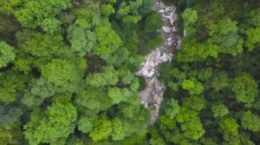 Dağ nehri kayaların ve yeşil ormanın içinden akıyor. Şarjör. Yeşil orman vadisinin tepesindeki dağ deresi kayalıkların arasından akıyor.
