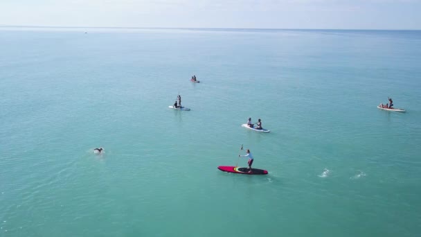 Bovenaanzicht van surfers met peddels op de achtergrond van turquoise zee en heldere lucht. Een knip. Mensen ontspannen op zee SUP-boards in de buurt van de kust bij rustig zonnig weer — Stockvideo