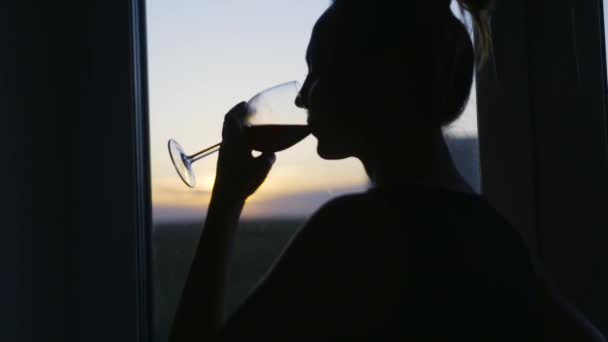 Kvinna dricker vin med glädje på bakgrunden av fönstret. Börja. Attraktiv kvinna dricker rödvin hemma. Silhuett av kvinna dricka vin på bakgrunden av kvällsfönstret — Stockvideo