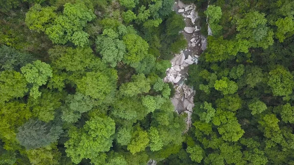 Rio de montanha correndo através de pedregulhos e floresta verde. Clipe. Vista superior do vale verde da floresta com o córrego da montanha que flui através de rochas rochosas — Fotografia de Stock