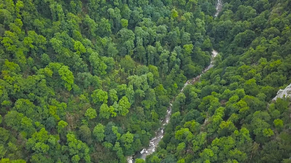 Widok z góry dzikiej doliny leśnej ze skałami i strumieniem. Klip. Naturalny krajobraz gęstego zielonego lasu z grzbietami skalnymi i górskimi rzekami — Zdjęcie stockowe