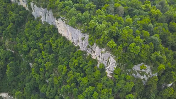 Vista superior do vale da floresta selvagem com rochas e córrego. Clipe. Paisagem natural de floresta verde densa com bordas de rocha e rios de montanha — Fotografia de Stock