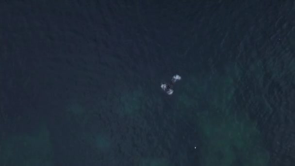 Mâle en maillot de bain noir nageant en eau libre de la mer bleu profond. Des actions. Vue aérienne du dessus de l'athlète pratiquant avant la compétition, le sport et le concept de mode de vie actif.