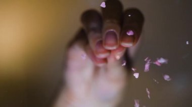 Kupa şeklinde serpiştirilmiş yakın çekim. Kavram. Şeffaf camların alt görüntüsü üzerine çok renkli serpintiler serpiştirilmiş. Dekorasyon için çok renkli süslemeler