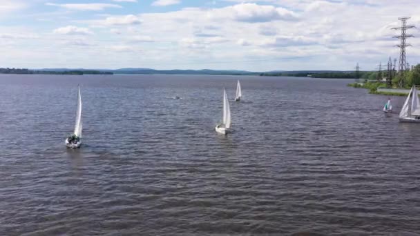 Żeglarskie jachty pływające w wietrznej pogodzie. Nagranie. Widok z góry grupy jachtów żaglowych podczas wycieczki morskiej lub regat konkurencji. Piękna panorama z jachtami żaglowymi — Wideo stockowe