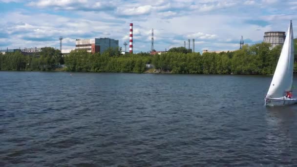 Seitenansicht vieler kleiner Segelboote, die sich langsam am grünen, bewaldeten Ufer entlang bewegen. Video. Schöne Yachten, die im Sommer auf einem breiten Fluss segeln. — Stockvideo