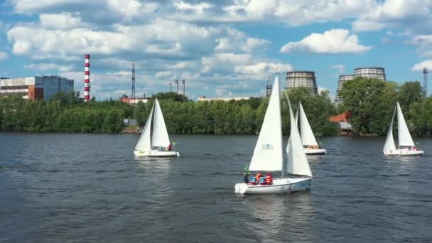 Letecký pohled na plachetnice za letního slunečného dne. Video. Letecký pohled na bílé malé jachty plující podél břehu řeky se zelenými keři na továrních komínech na pozadí. — Stock video