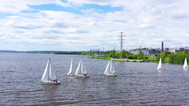 Vue de dessus de la compétition de voiliers. Vidéo. De belles régates flottant sur fond de côte verte et de ville lointaine. Paysage du lac avec régates flottantes — Video