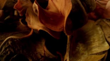 Kurumuş meyve arka planının etrafında dönüyor. Stok görüntüleri. Loş ışık altında kurutulmuş farklı meyvelerin karışımı olan sağlıklı ve organik gıda kavramını kapat..