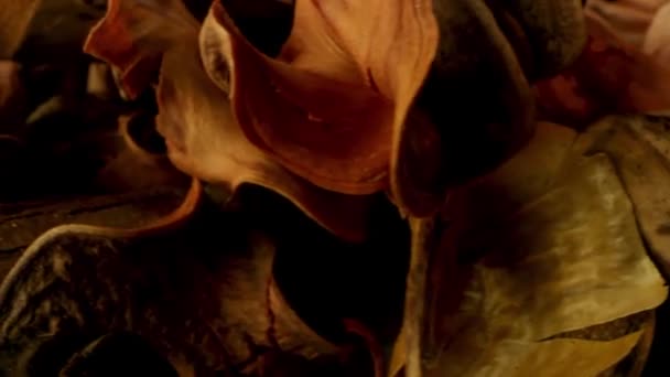 Rotation autour du fond de fruits secs. Images d'archives. Gros plan sur le mélange de fruits séchés différents sous la lumière tamisée, concept d'aliments sains et biologiques.