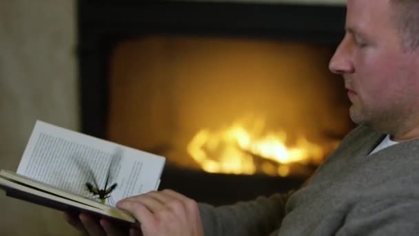 Бабочка по книге. Видео. Мужчина смотрит на большую бабочку, сидящую на развороте книги. Фея-бабочка машет крыльями перед человеком, читая книгу за камином. Волшебный вечер с книгой — стоковое видео