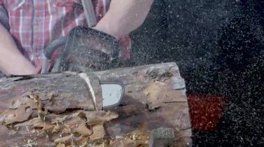 Güçlü el testeresi kütüğünün yakın çekimi. Video kaydı. Yakacak odun kesmek için testere ile odun kesmek. Yavaş çekim kesme kütükleri ve uçan talaş