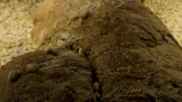 Zelfgemaakt brood met granen, zaden en granen. Voorraadbeelden. Close-up van heerlijk brood vers gebakken liggend op tafel, concept van voedsel. — Stockvideo