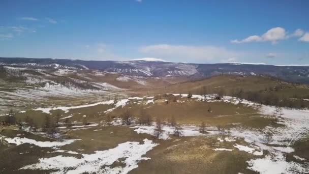 Manhã de outono em montanhas, grama amarela e neve coberta. Clipe. Vista aérea da crescente floresta de coníferas e rochas nevadas no fundo azul do céu nublado . — Vídeo de Stock