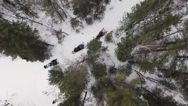 Visão aérea superior de uma equipe parou enquanto viajava nos bosques de inverno em motos de neve. Clipe. Os desportistas em motos de neve pronto para se mover através de profundas nevascas na floresta de inverno . — Vídeo de Stock
