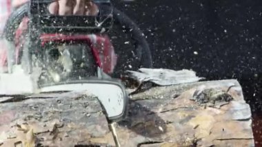 Elektrikli testere ile bir kütüğü kesmeye yakın. Video kaydı. Erkek marangozlar ağaç gövdesinin bir kısmını testereyle kesiyorlar..