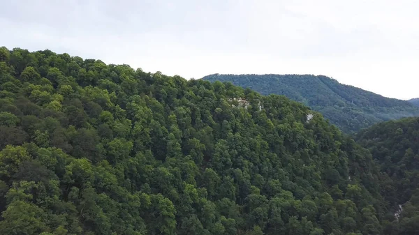 Vista aérea de grande montanha coberta por árvores verdejantes. Clipe. Paisagem natural com belas colinas arborizadas, floresta decídua de verão no fundo do céu nublado . — Fotografia de Stock