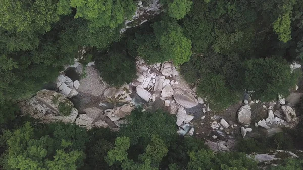 从空中俯瞰一条流过绿林的山川.剪断。绿树成荫，绿树成荫，绿树成荫的自然景观. — 图库照片