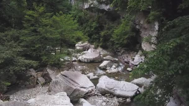 Αεροφωτογραφία ορεινού ποταμού που ρέει μέσα από καταπράσινο δάσος. Κλιπ. Τοπίο της φύσης με ένα ρεύμα κρύου γλυκού νερού και μεγάλες πέτρες ανάμεσα στα δέντρα. — Αρχείο Βίντεο