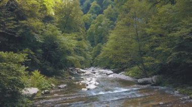Dağları, ormanı ve nehri olan doğal bir manzara. Şarjör. Güzel manzara, hızlı akan vahşi nehir ve ıslak taşlar, yaprak döken yeşil orman..