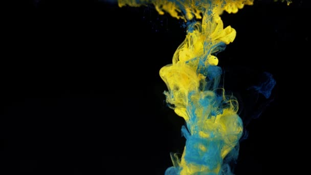 Primo piano di colorate gocce di vernice gialla e blu in acqua, mix di colori a contrasto. Filmati delle scorte. Gocce di inchiostro che cadono e vorticano dolcemente sott'acqua su sfondo nero. — Video Stock