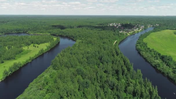 Nehirleri ve arka planda mavi gökyüzü olan köyü olan yeşil ormanın en üst görüntüsü. Vuruldu. Yeşil orman ve mavi nehirlerle güzel bir yaz manzarası — Stok video