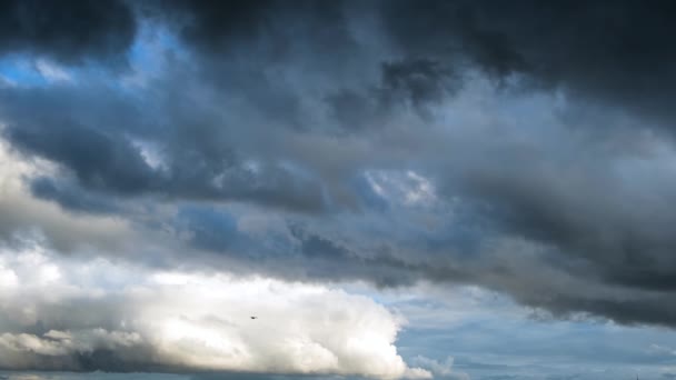 Een vogel die op een zomerdag tegen stormachtige wolken vliegt. Concept. Onderaanzicht van zware mooie wolken die in de blauwe lucht vloeien voor de storm of regen. — Stockvideo