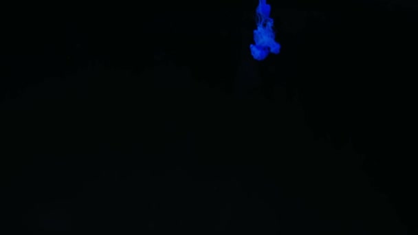 Close up of dark blue and yellow paint drops falling down slowly in liquid substance. Stock footage. Smooth ink added from above underwater on black background. — Stock Video