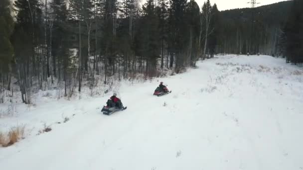 Flygfoto över raden av snöskotrar rida på en snöig stig nära skogen. Klipp. Begreppet vinter extrem sport, människor ridning snöskotrar längs träden under den tunga himlen. — Stockvideo