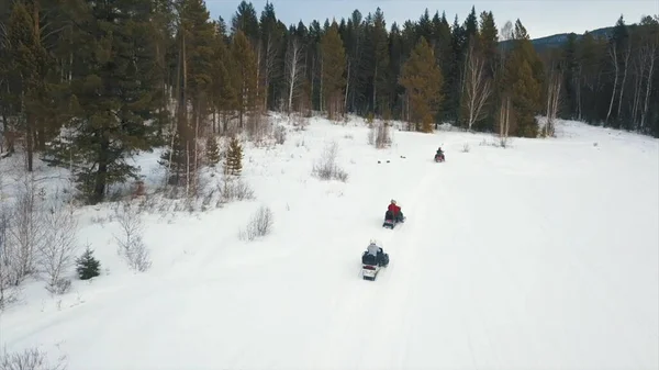 Kar araçlarının hava görüntüsü ormanın yakınındaki karlı bir patikada ilerliyor. Şarjör. Kış ekstrem spor anlayışı, insanlar yoğun gökyüzünün altındaki ağaçlar boyunca kar araçlarına biniyor.. — Stok fotoğraf