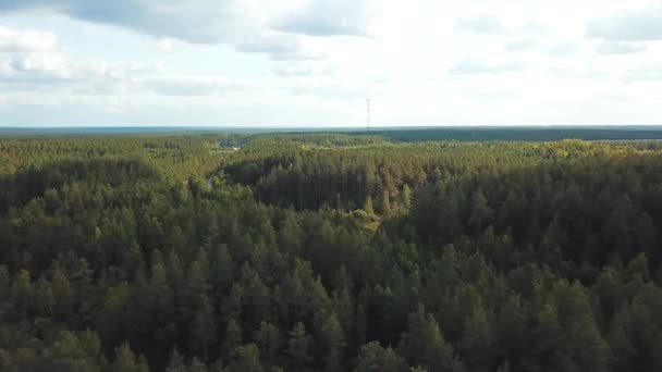 Stunning aerial view of the road in the lush green coniferous forest. Stock footage. Flying above the endless valley with pine trees in the coniferous forest in early spring. — Stock Video
