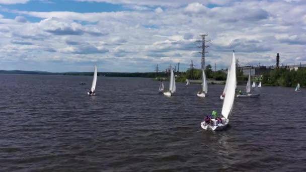 Вид с воздуха на парусные яхты в пруду с волнистой поверхностью воды. Видео. Красивые регаты, плавающие на фоне зеленого побережья промышленного района города. — стоковое видео