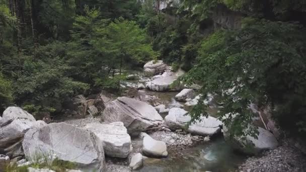 Дикий природний ландшафт річки в горах, оточених зеленим лісом. Кліп. Вид з повітря на зелені дерева і пар холодної води з великими каменями . — стокове відео