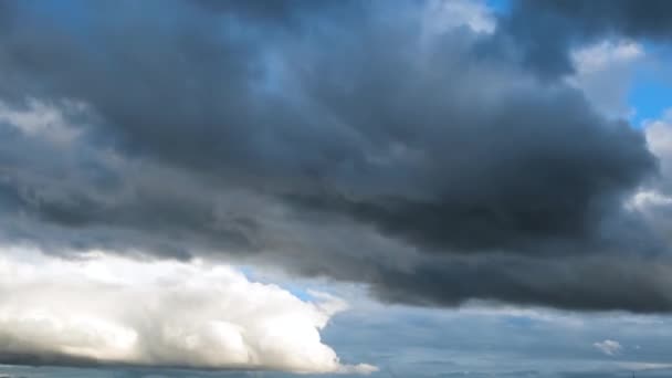 Pájaros volando contra nubes tormentosas en un día de verano. Concepto. Vista inferior de nubes pesadas y hermosas que fluyen en el cielo azul antes de la tormenta o la lluvia con efecto de lapso de tiempo . — Vídeo de stock