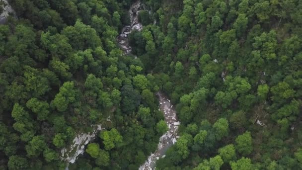 Вид сверху на реку в горах, окруженных зеленым лесом. Клип. Вид с воздуха на зеленые деревья и пар холодной воды с большими камнями. — стоковое видео