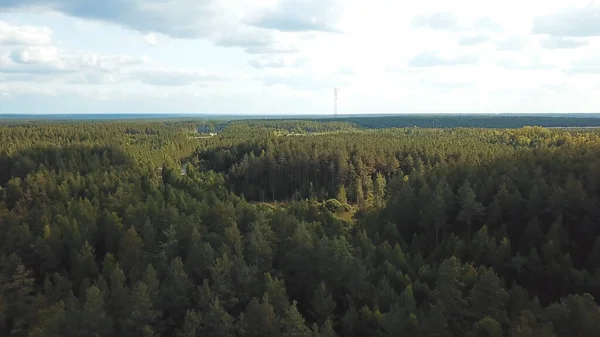 Prachtig uitzicht vanuit de lucht op de weg in het weelderige groene naaldbos. Voorraadbeelden. Vliegen boven de eindeloze vallei met dennenbomen in het naaldbos in het vroege voorjaar. — Stockfoto