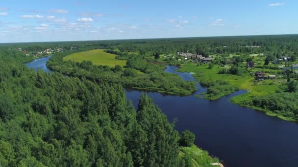 Naturlandskap med gröna träd, bred flod och grönt fält. Skjuten. Flygfoto över sommarlandskapet med skog, gröna ängar och älv på landsbygden, flygäventyr på sommaren. — Stockvideo