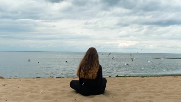 Mladá žena sedí na mořském břehu a dívá se do dálky. Koncept. Zadní pohled na mladé dívky s dlouhými kudrnaté krásné vlasy při pohledu na létající racky, dramatické pozadí. — Stock video