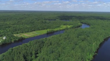Nehir üzerindeki hava manzarası ve kırsal evlerin yanındaki yeşil vadi. Vuruldu. Çam ağaçlarıyla çevrili tarlalarda kıvrılan güzel, dar bir nehir..
