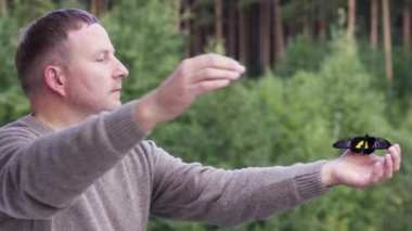 Orta yaşlı beyaz bir adamın güzel büyük bir kelebeği tutuşu. Video kaydı. Siyah ve sarı büyük kelebek insan avucunun üzerinde oturuyor ve kanatlarını açıyor..