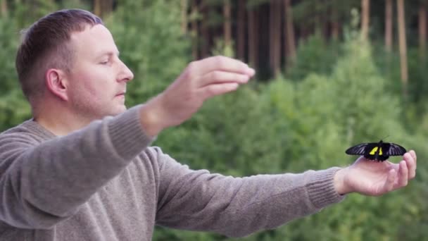 Sidovy över en medelålders kaukasisk man som håller en vacker stor fjäril. Videon. Svart och gul stor fjäril sitter och sprider sina vingar på en mänsklig öppen handflata. — Stockvideo