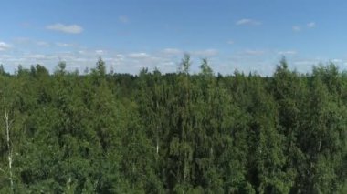 Güneşli bir bahar gününde kıyılarda yaprak döken ağaçlarla çevrili dar kıvrımlı bir nehir. Vuruldu. Mavi bulutlu arka planda küçük evleri olan sessiz bir köyün hava manzarası..