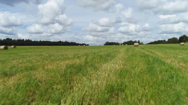 Çayırların yaz manzarası hasat zamanı biçilir. Vuruldu. Güneşin altında kuruyan saman yığınları, hayvan yemi hazırlığı, kırsal ekolojik bölge.