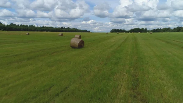 Vedere aeriană a fânului și a terenurilor agricole într-o zi însorită de vară. Împuşcat. Zburând deasupra pajiștilor de iarbă verde cosit și a fanului uscat, conceptul de agricultură și ecologie . — Fotografie, imagine de stoc