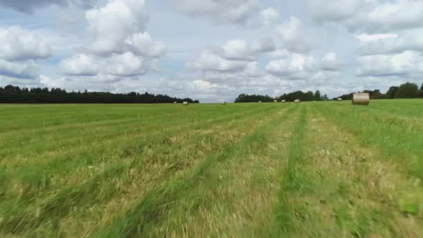 Paisagem de verão de prados cortados durante a época da colheita. Atingido. Haystacks secagem sob o sol, preparação de alimentos para animais, região ecológica rural. — Vídeo de Stock